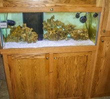 Oak aquarium stand with upper cabinets for lighting, and side cabinets for pump housing